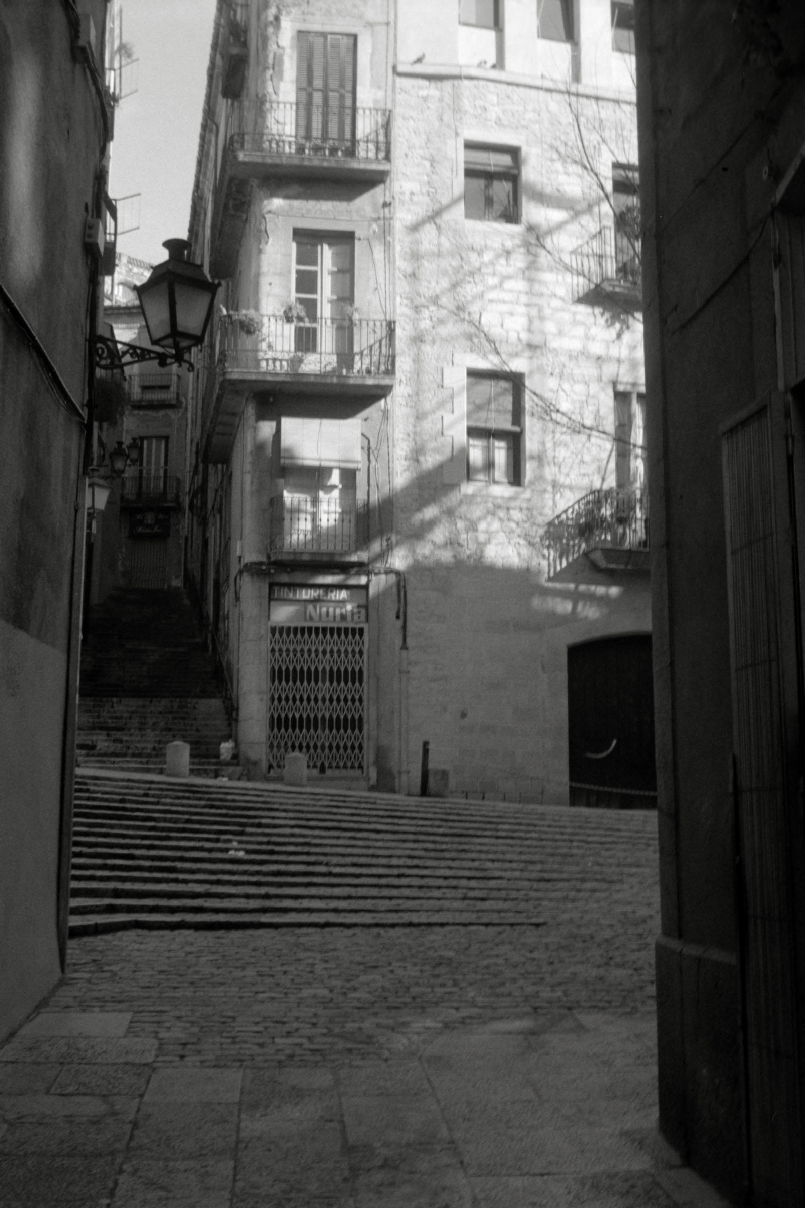 AHP F1996 02 001 sc240816 img04 NLP